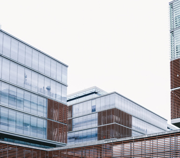 Commercial Solar Panels